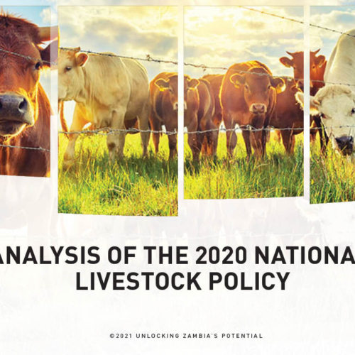 Analysis of the 2020 National Livestock Policy
