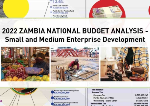 Blog: 2022 Budget Analysis – Small and Medium Enterprise Development.