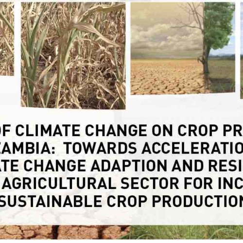 PMRC Press Statement – Impact of Climate Change on Crop Production in Zambia:  Towards Acceleration of Climate Change Adaption and Resilience in the Agricultural Sector for Increased Sustainable Crop Production.