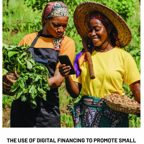 The Use Of Digital Financing To Promote Small And Medium Enterprises Growth And Women Economic Empowerment In Agriculture