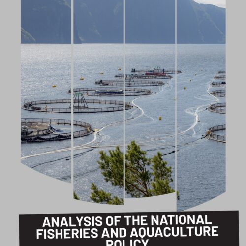 Analysis of the National Fisheries and Aquaculture Policy