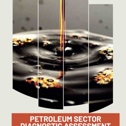 Petroleum Sector Diagnostic Assessment